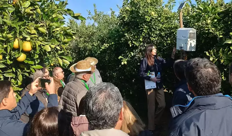 El proyecto 'DemoFarm Andalucía', candidato a los premios europeos de Inspiración Agraria y Rural 