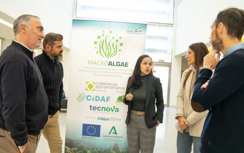 Investigadores emplean algas invasoras de las costas andaluzas para  producir abono sostenible
