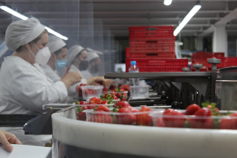 Las cooperativas agroalimentarias aportan un 6,2%  al PIB de Andalucía 