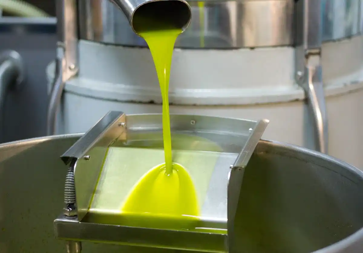 Récord histórico de exportaciones de aceite de oliva en 2024, con 4.570 millones y un alza del 39% 