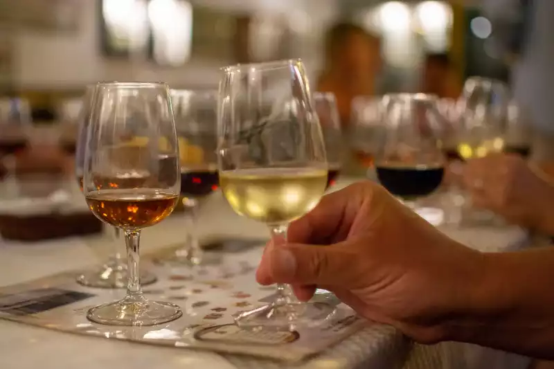 Miembros del Colectivo VitiVinum denuncian la "falta de información” a las propias bodegas de la Cata de Córdoba