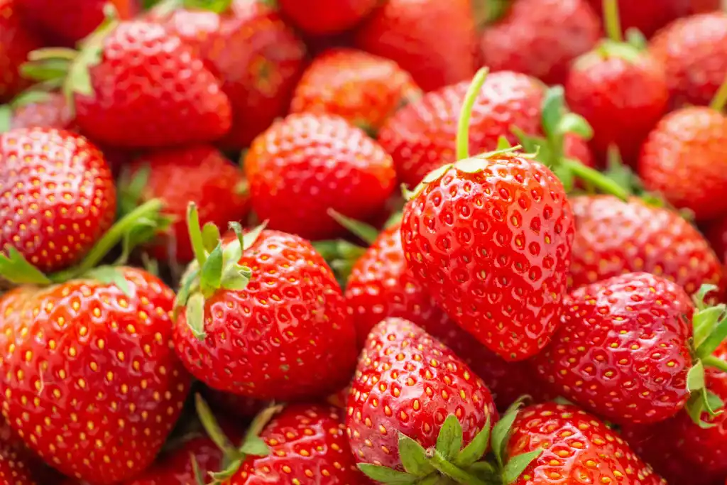 Andalucía impulsa sus exportaciones de frutas con un crecimiento de más de 110 millones en el primer trimestre