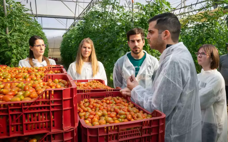 Tomates que abonan tomates: cerrando el círculo con sus desechos