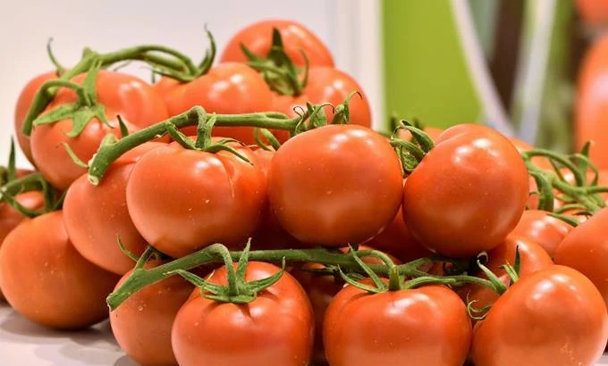 La comercialización se vuelca con Infoagro Exhibition