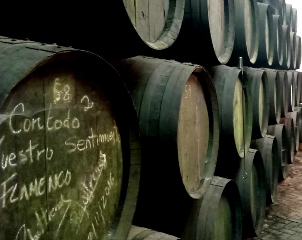 Un tapón inteligente vigila el velo de flor en las botas de crianza biológica