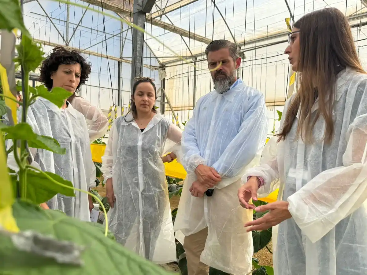 Las costas andaluzas abren una nueva vía de innovación agraria con las macroalgas como bioinsumos