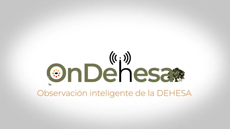 On-Dehesa: tecnología e innovación contra la seca que amenaza a las dehesas andaluzas