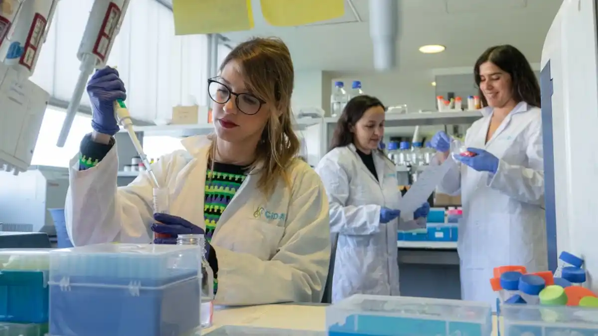 PROSOST, el proyecto que revoluciona la obtención de proteínas sostenibles